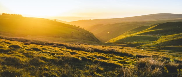 Grasslands UK